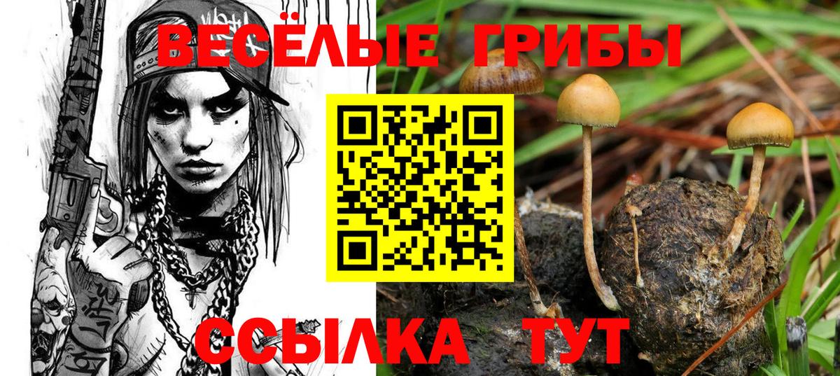 Псилоцибиновые грибы Magic Shrooms  Вход с VPN  Галлюциногенные грибы прущие грибы  Унеча 