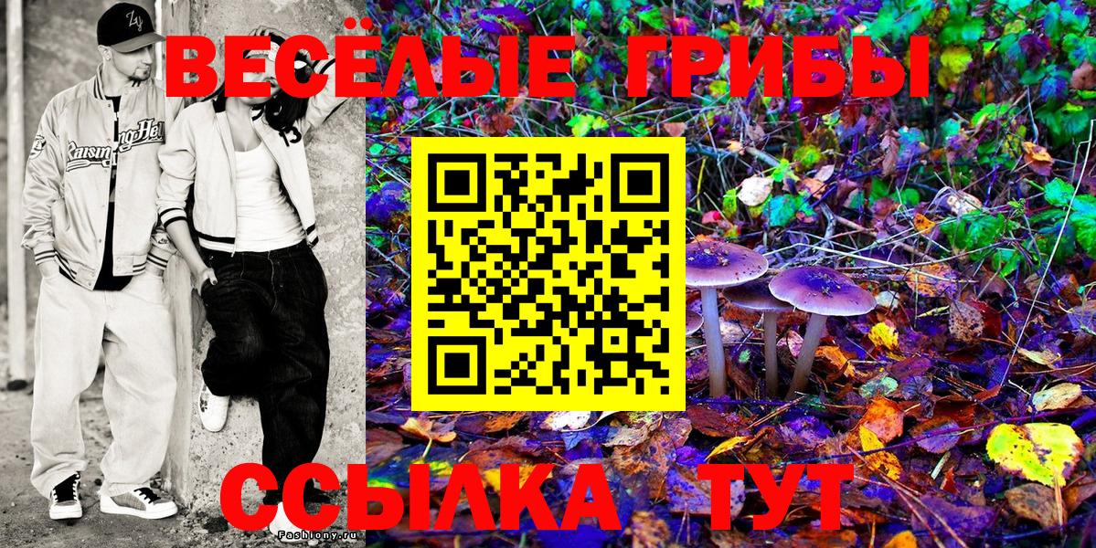 Галлюциногенные грибы ЛСД Унеча